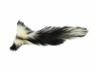Real Tanned Skunk Tail: XL: Gallery Item 