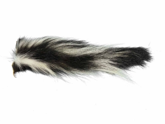 Real Tanned Skunk Tail: XL: Gallery Item 