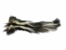 Real Tanned Skunk Tail: XXL: Gallery Item - 18-SK-G4280 (Y1JRO)