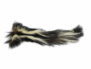 Real Tanned Skunk Tail: XXL: Gallery Item 