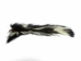 Real Tanned Skunk Tail: XXL: Gallery Item - 18-SK-G4281 (Y1JRO)