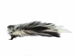 Real Tanned Skunk Tail: XXL: Gallery Item - 18-SK-G4282 (Y1J)