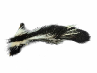 Real Tanned Skunk Tail: XXL: Gallery Item 
