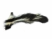 Real Tanned Skunk Tail: XXL: Gallery Item - 18-SK-G4284 (Y1JRO)