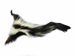 Real Tanned Skunk Tail: XXL: Gallery Item - 18-SK-G4287 (Y1J)