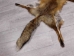 Red Fox Skin with Feet: Gallery Item - 180-03-WF-G4015 (Y1KWR)