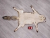 Red Fox Skin with Feet: Gallery Item - 180-03-WF-G4016 (Y1KWR)