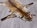 Red Fox Skin with Feet: Gallery Item - 180-03-WF-G4016 (Y3L)
