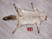 Red Fox Skin with Feet: Gallery Item - 180-03-WF-G4017 (Y1KWR)