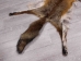 Red Fox Skin with Feet: Gallery Item - 180-03-WF-G4017 (Y1KWR)