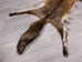 Red Fox Skin with Feet: Gallery Item - 180-03-WF-G4017 (Y3L)