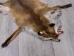 Red Fox Skin with Feet: Gallery Item - 180-03-WF-G4018 (Y1KWR)