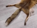 Red Fox Skin with Feet: Gallery Item - 180-03-WF-G4018 (Y1KWR)