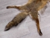 Red Fox Skin with Feet: Gallery Item - 180-03-WF-G4019 (Y1KWR)