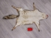 Red Fox Skin with Feet: Gallery Item - 180-03-WF-G4020 (Y1KWR)