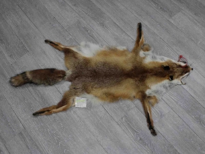 Red Fox Skin with Feet: Gallery Item 