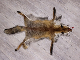 Red Fox Skin with Feet: Gallery Item 