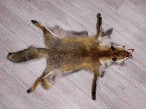 Red Fox Skin with Feet: Gallery Item 