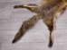 Red Fox Skin with Feet: Gallery Item - 180-03-WF-G4024 (Y1KWR)