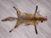 Red Fox Skin with Feet: Gallery Item - 180-03-WF-G4024 (Y1KWR)