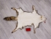 Red Fox Skin with Feet: Gallery Item - 180-03-WF-G4025 (Y1KWR)