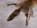 Red Fox Skin with Feet: Gallery Item - 180-03-WF-G4025 (Y1KWR)