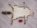 Red Fox Skin with Feet: Gallery Item - 180-03-WF-G4027 (Y1KWR)