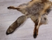 Red Fox Skin with Feet: Gallery Item - 180-03-WF-G4027 (Y3K)