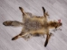 Red Fox Skin with Feet: Gallery Item - 180-03-WF-G4027 (Y1KWR)