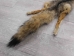 American Gray Fox Skin with Feet: Gallery item - 180-08-WF-G3138 (Y2KWR)