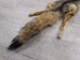 American Gray Fox Skin with Feet: Gallery item - 180-08-WF-G3138 (Z6)