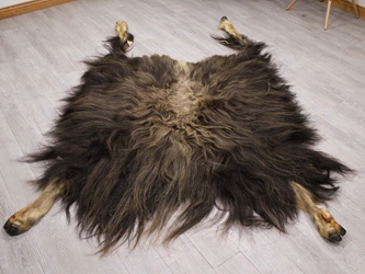 Musk Ox Hide with Hooves: Gallery Item 