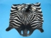 Zebra Face: Gallery Item - 19-22-G01 (Y2KRL)