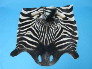 Zebra Face: Gallery Item 