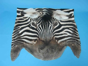 Zebra Face: Gallery Item 