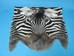Zebra Face: Gallery Item - 19-22-G02 (Y2K)