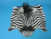 Zebra Face: Gallery Item - 19-22-G03 (Y2KRL)