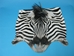Zebra Face: Gallery Item - 19-22-G03 (Y2K)