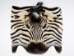 Zebra Face: Gallery Item - 19-22-G05 (Y2K)