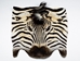 Zebra Face: Gallery Item - 19-22-G05 (Y2K)