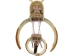 Ojibwa Fancy 4-Tooth Beaver Necklace: Gallery Item - 200-403-G3360 (Y2H)
