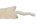 Male Ranch Mink Skin: White: Gallery Item - 28-M-WH-G3484 (Y1KWR)