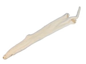 Male Ranch Mink Skin: White: Gallery Item 
