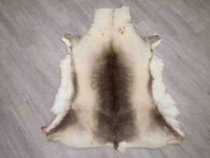 Reindeer Hide: #2 Quality: Gallery Item 