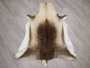 Reindeer Hide: #2 Quality: Gallery Item 