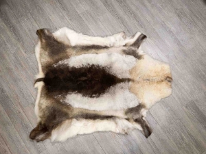 Reindeer Hide: XX-Large: Gallery Item 