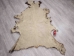 Elk Hide: Gallery Item - 43-G3254 (Y2KXX)