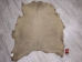 Elk Hide: Gallery Item - 43-G3255 (Y2KRF)