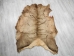 Elk Hide: Gallery Item - 43-G3255 (Y2KRF)