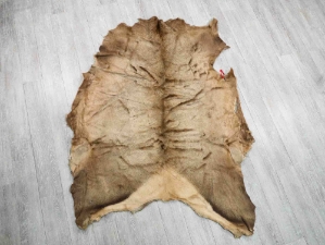 Elk Hide: Gallery Item elk skins